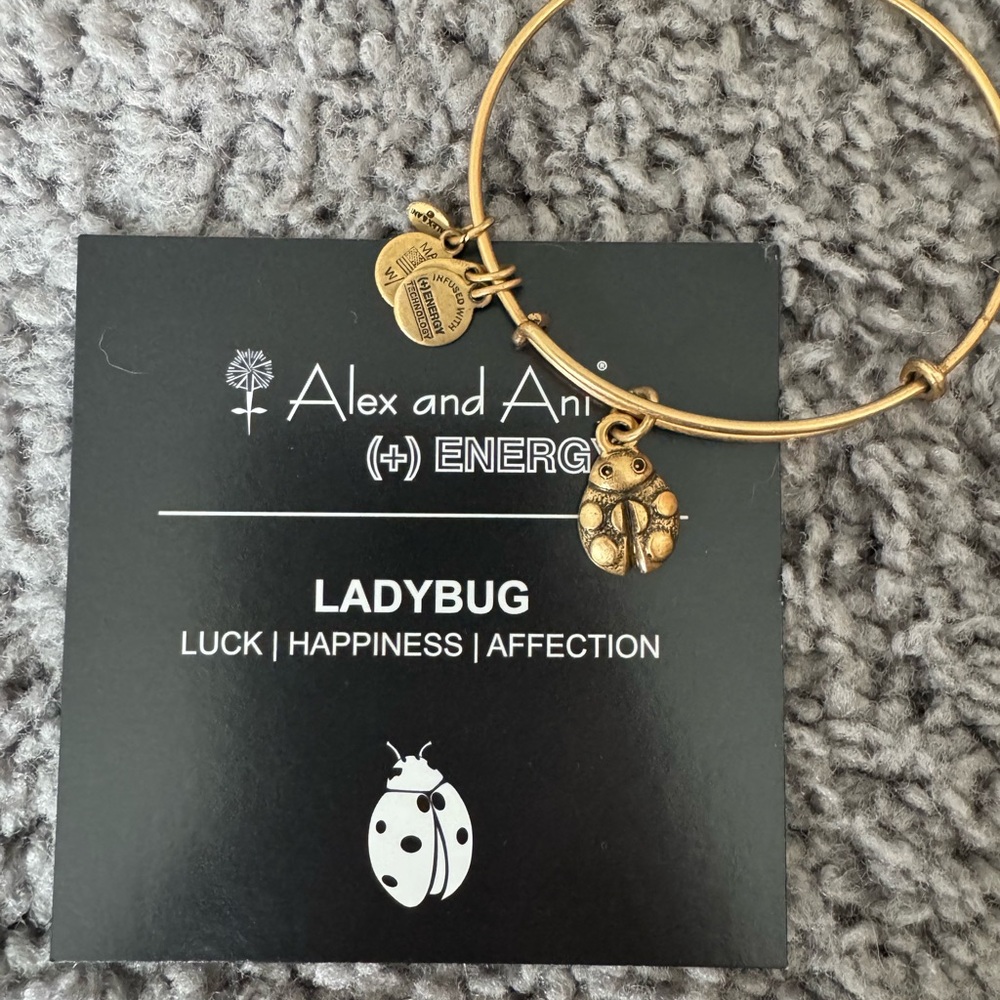 Alex and Ani Gold Charm Bangle Bracelet